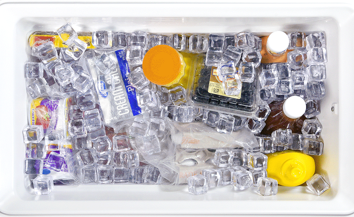 Cooler Insert