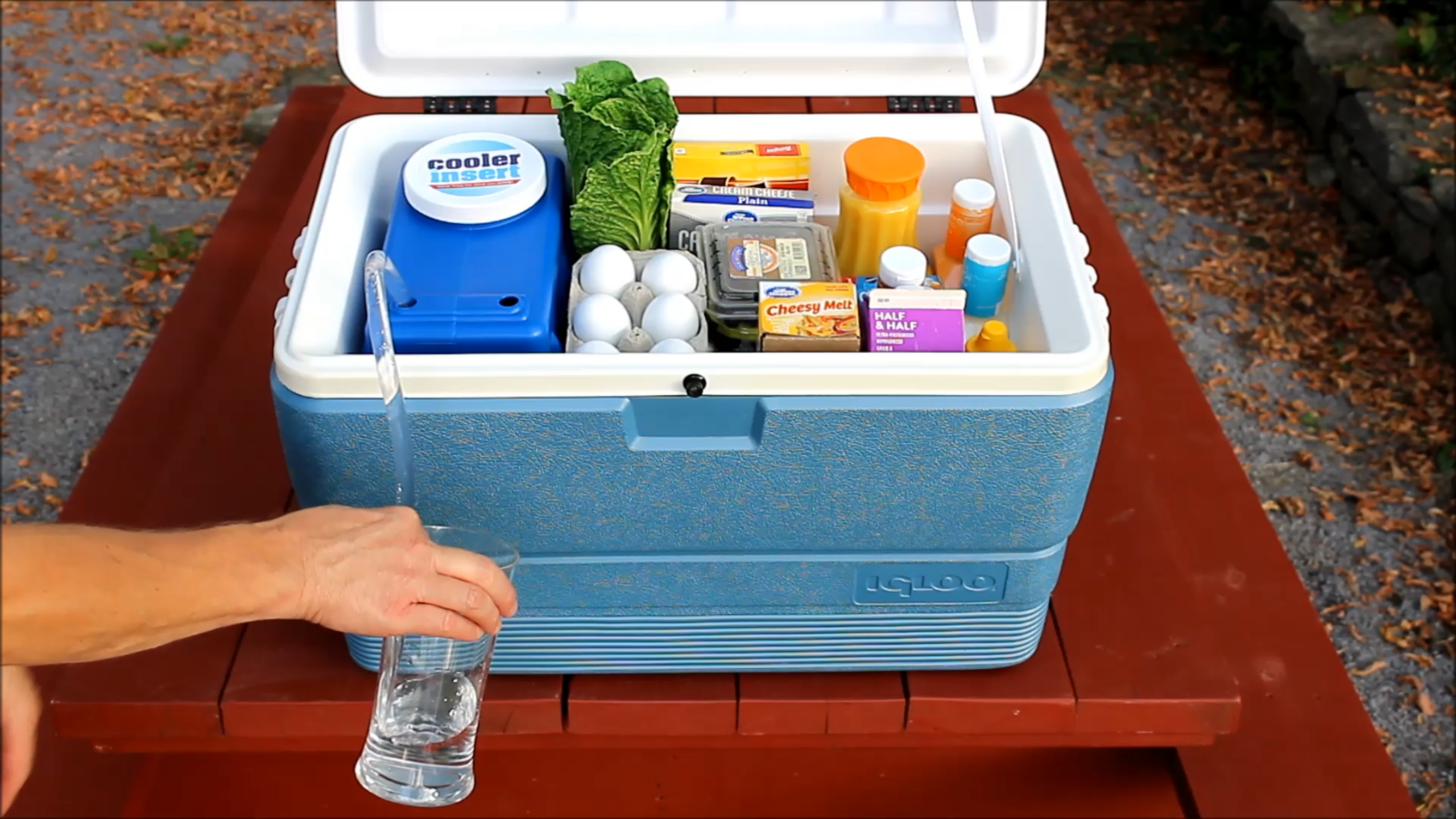 Cooler Insert Siphon